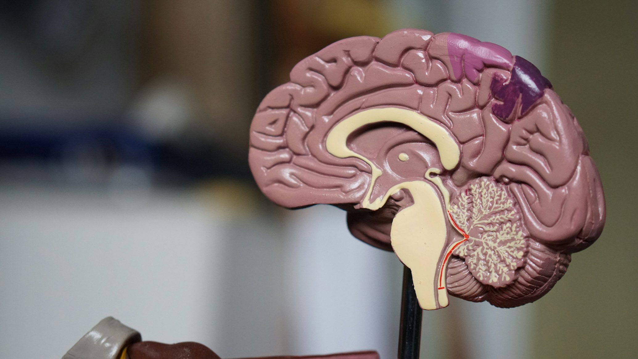 AI-Enhanced Medical Diagnostics Platform